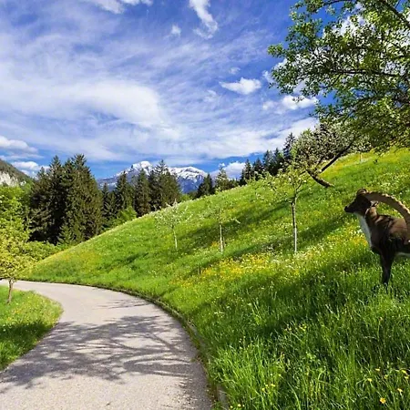 Farm stay Scheuerbichl *
